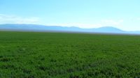 sam_0189_20140208_1054732954
